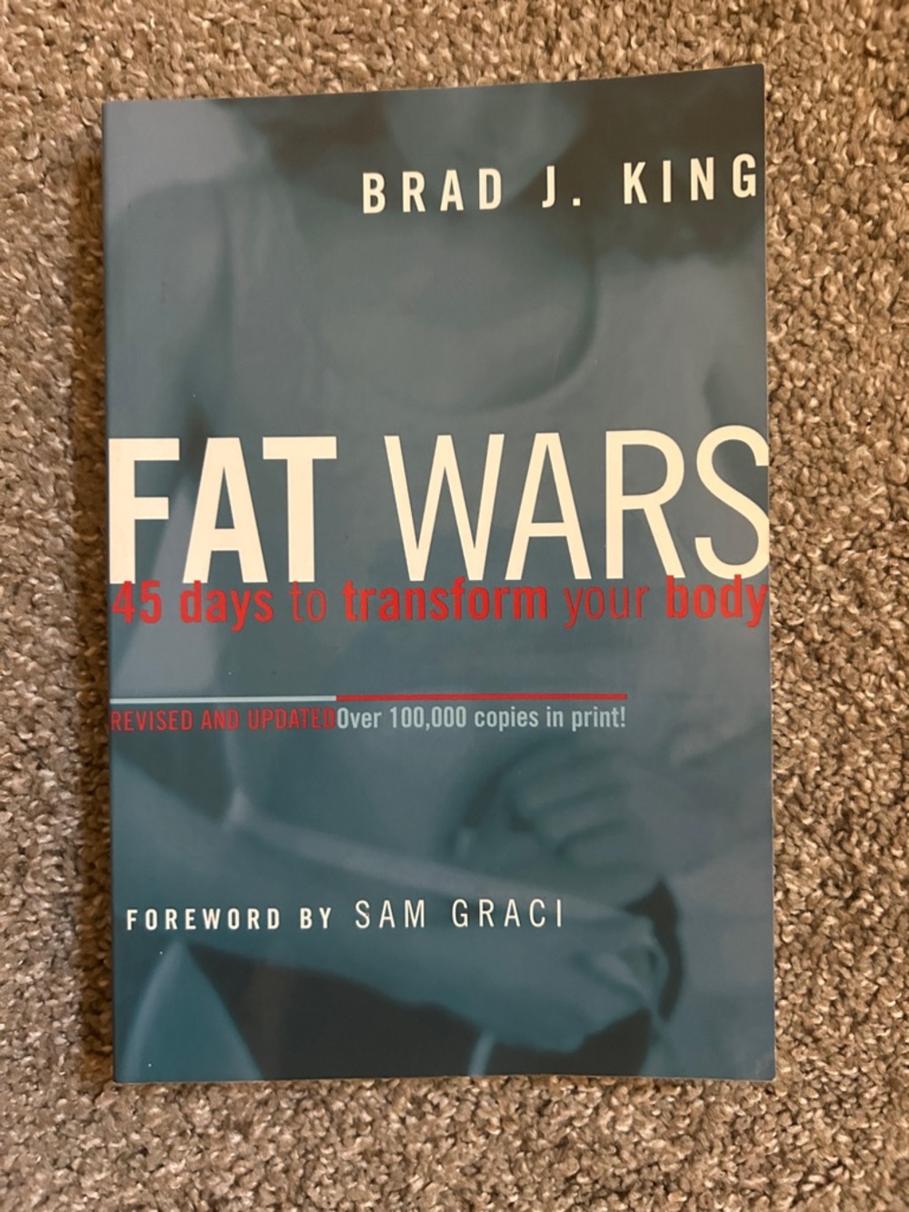 Fat Wars by Brad J. King - Blue Cover